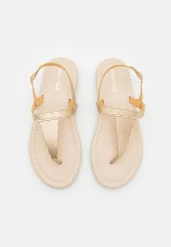 Anna Field Zehentrenner - Gold 13 Anna Field Zehentrenner - Gold -Anna Field Geschäft 67b452555bd349619c0921a57a28a5a0